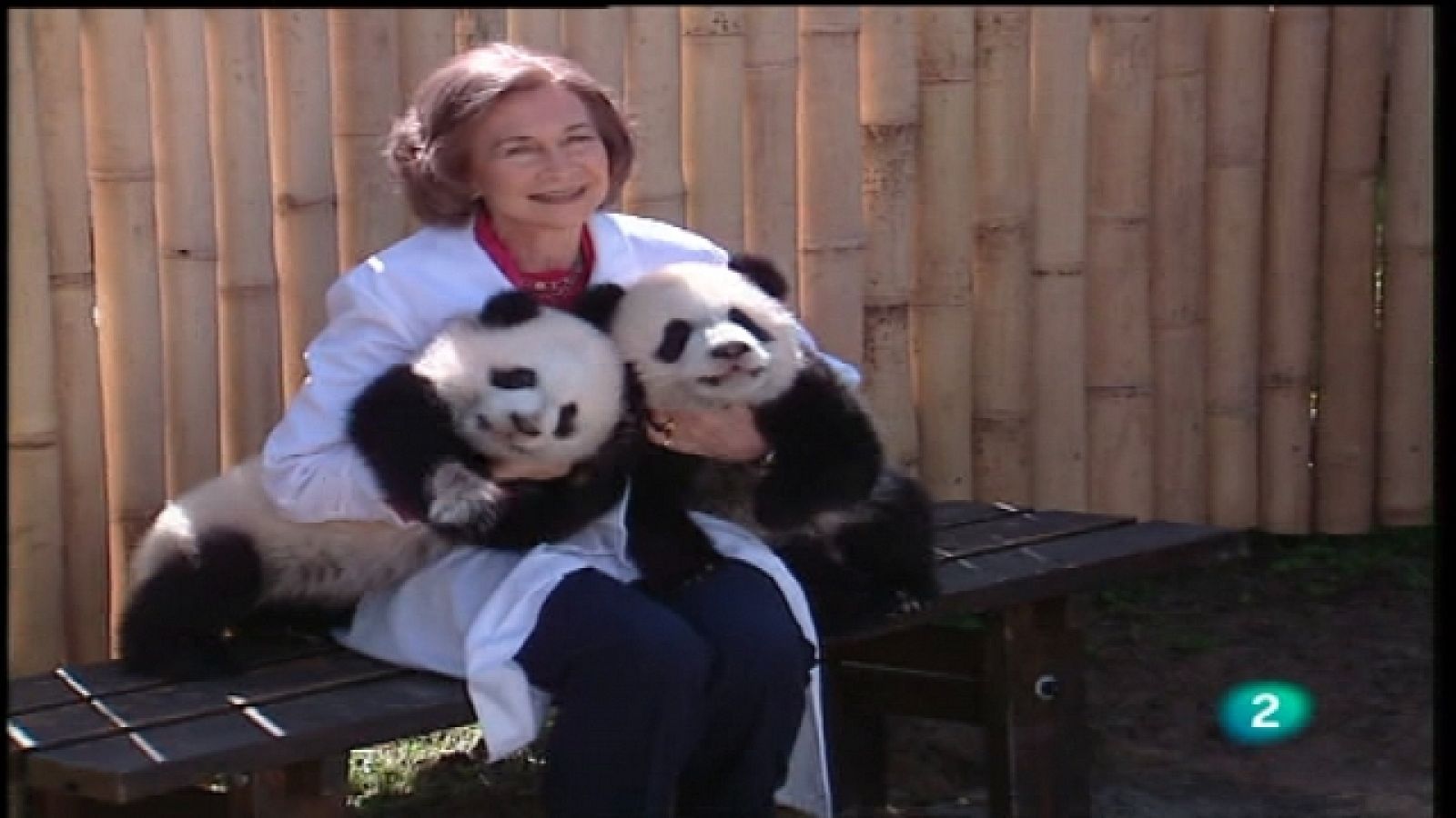 En lengua de signos - 02/04/11 - ¿Cómo ven España los jóvenes sordos de otro país? - Ver ahora