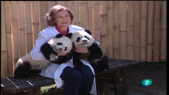 En lengua de signos - En lengua de signos - 02/04/11