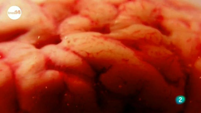 tres14 - curiosidades - ¿Cómo nos afectan los colores?