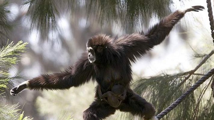 On Off - Madre a los 32