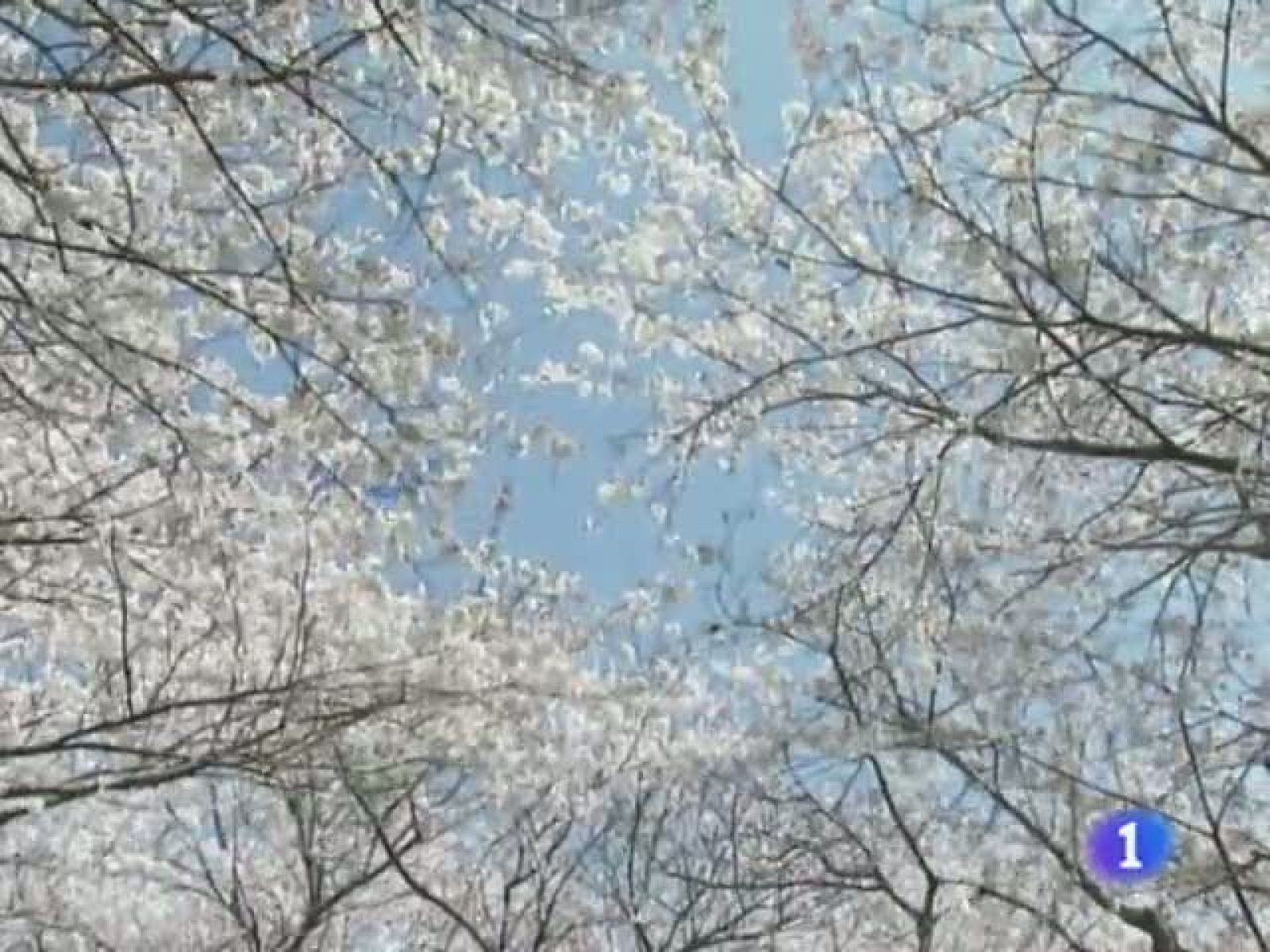 El tiempo en Castilla y León - 04/04/11