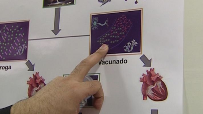 Telediario 1 - Vacunas para adicciones a drogas