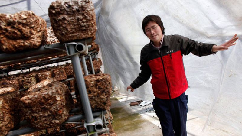 El conflicto en Costa de Marfil. La primera comparecencia del presidente del Gobierno, José Luis Rodríguez Zapatero, tras el anuncio de que no repetirá como candidato en las próximas elecciones