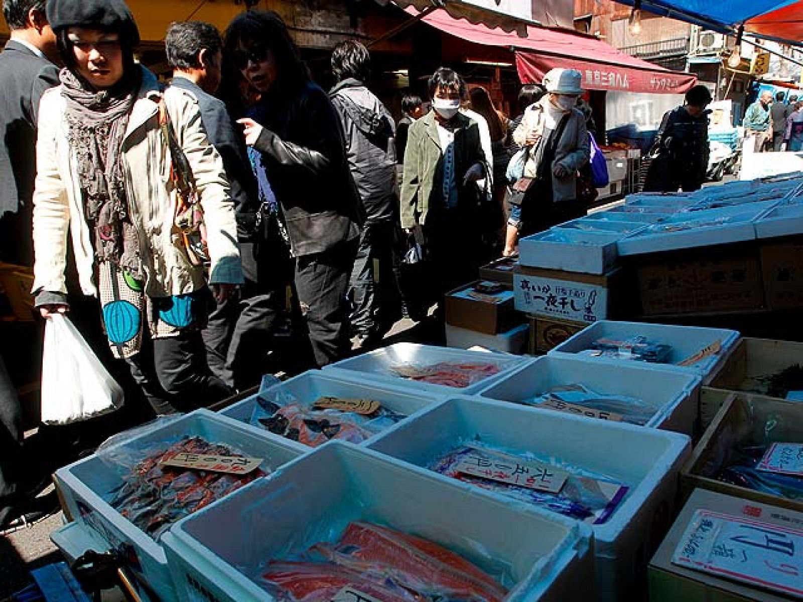 El Gobierno japonés refuerza los controles tras encontrar contaminación en anguilas