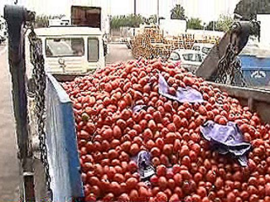España Directo - Tomates a la basura