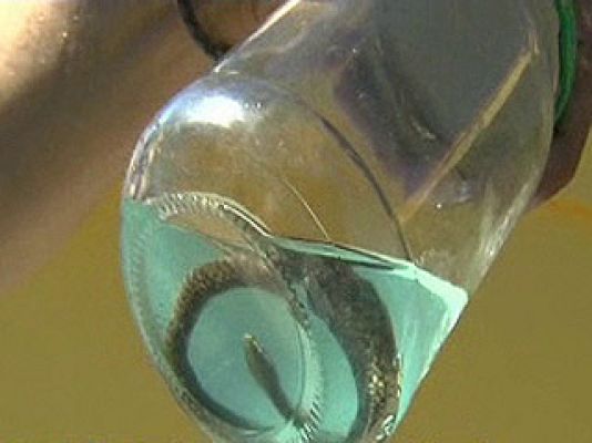 España Directo - Un nido de víboras