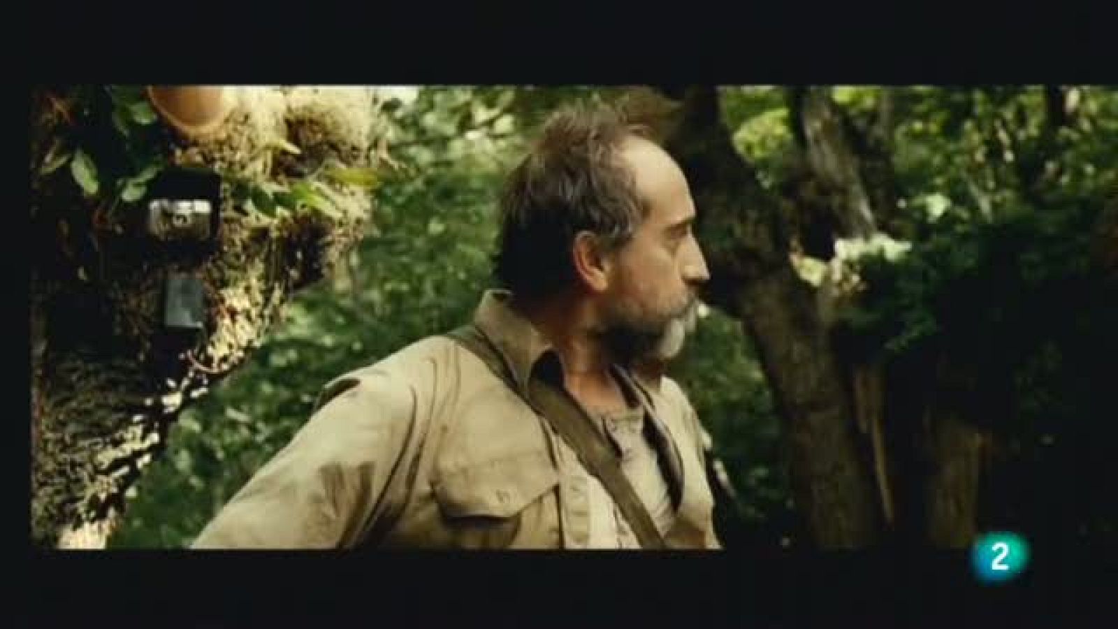 Continuarà - ¿Para qué sirve un oso? de Tom Fernández