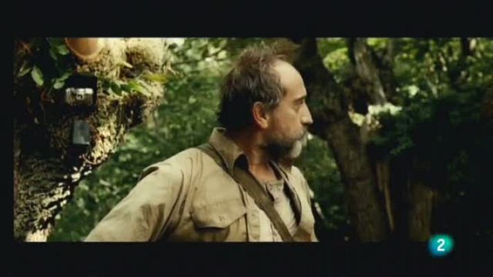 Continuarà... - ¿Para qué sirve un oso?