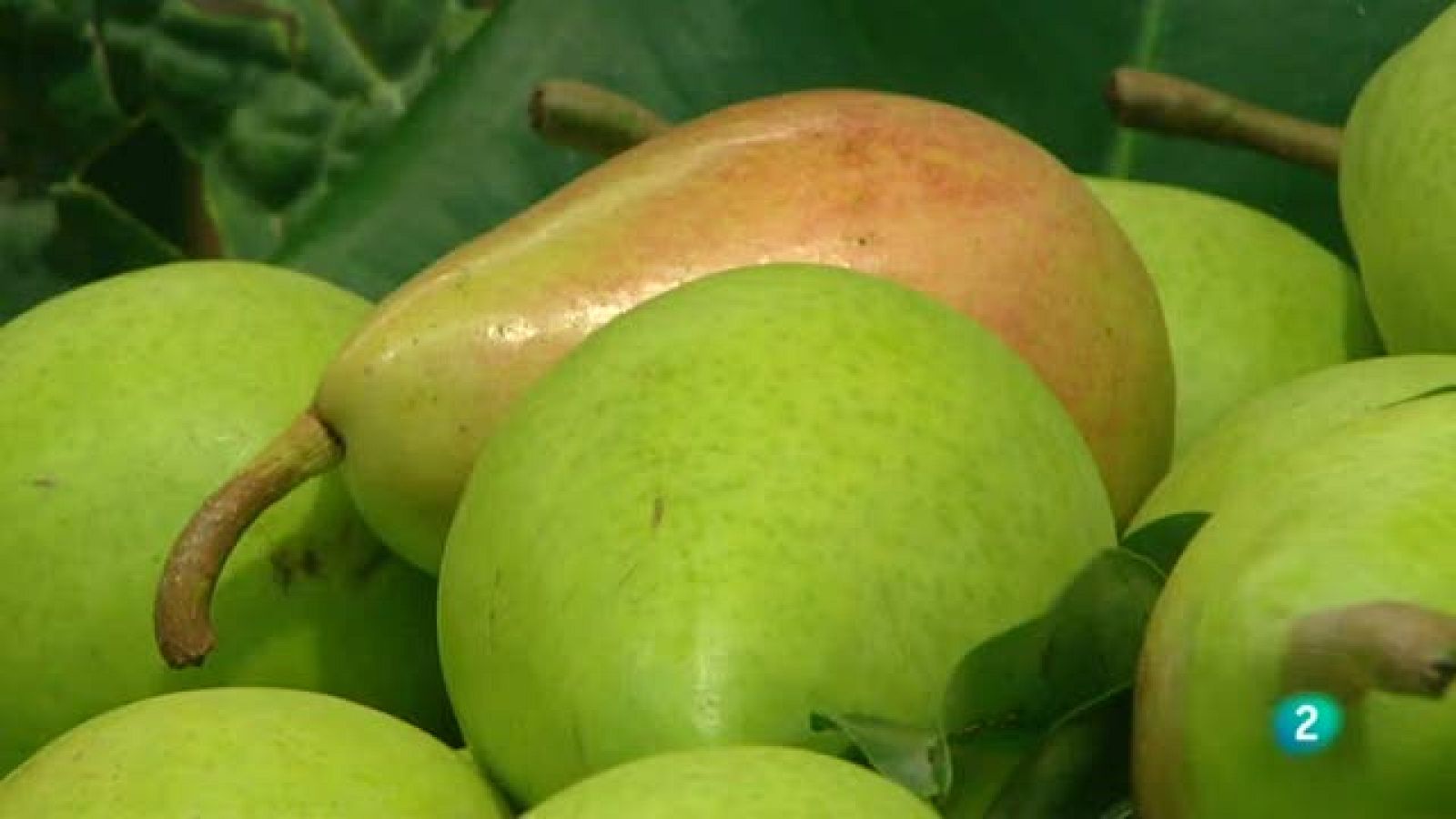 Para Todos La 2 - Las Peras