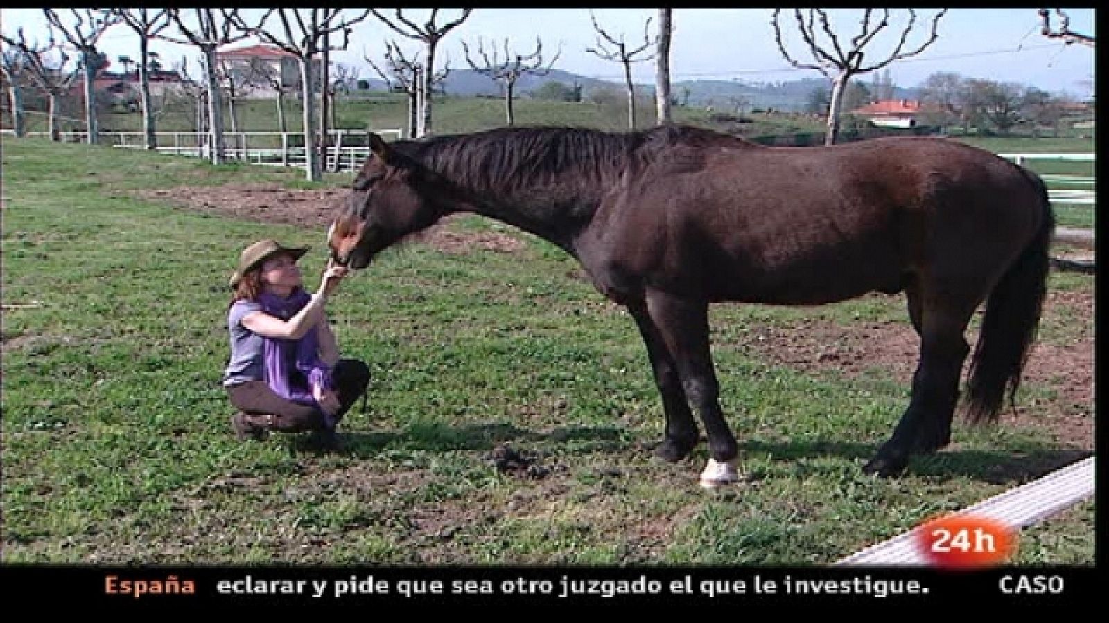 España en 24 horas - En Vitoria se celebra estos días el Congreso de Alta Cocina. Desde la Comunidad Valenciana nos hablarán de una herboristería con tradición - 06/04/11 - Ver ahora