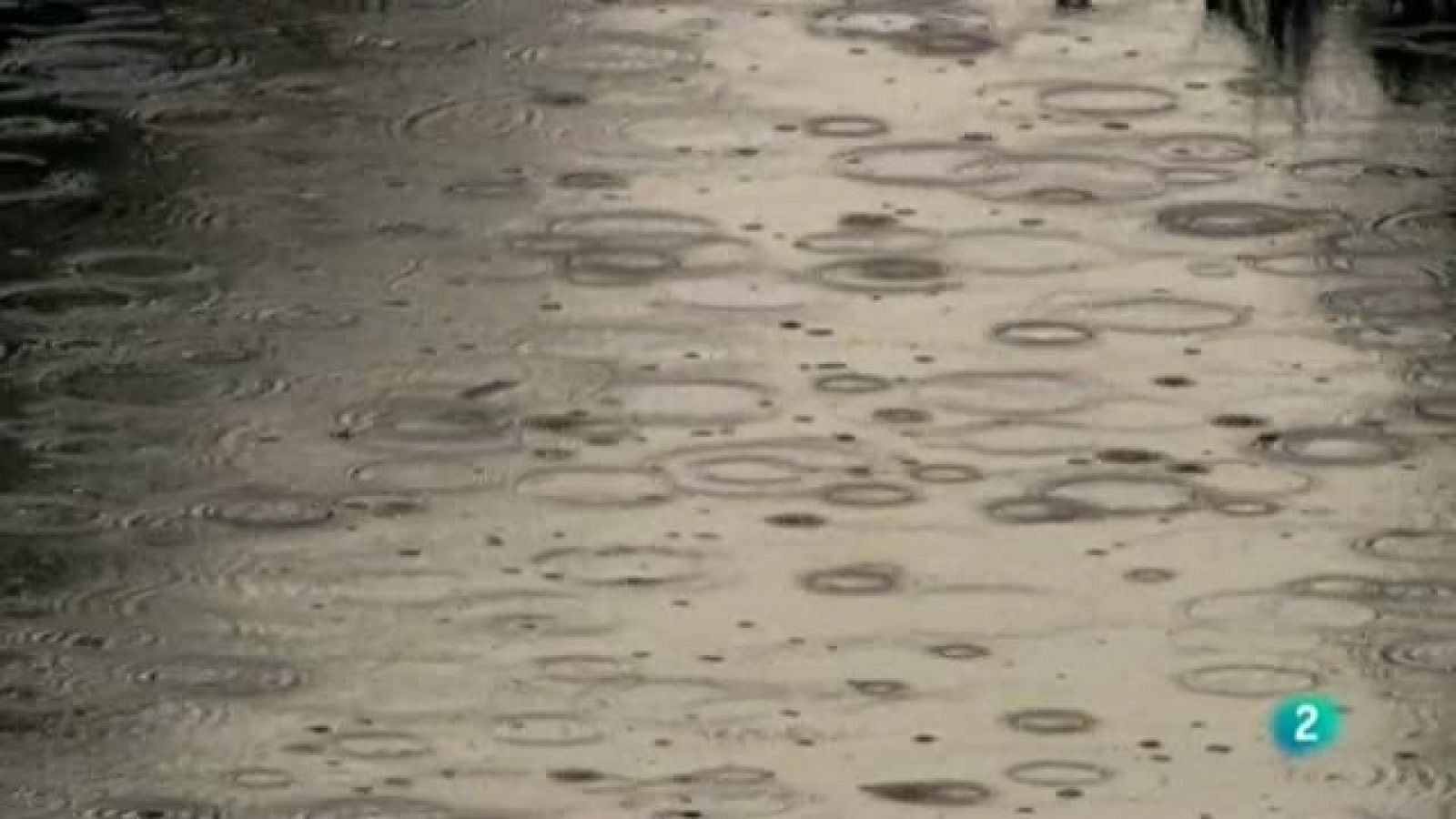 Biodiario - 06/04/11 - Ver ahora