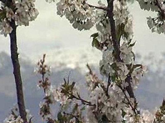 España Directo - Valle del Jerte