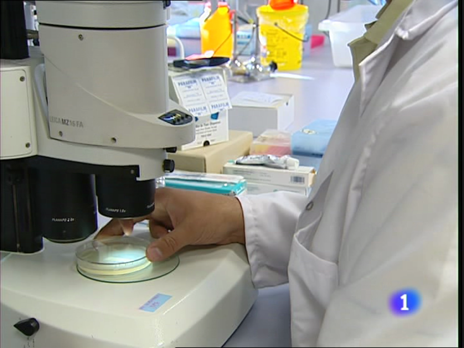 Informativo Telerioja - 07/04/11 | Ver