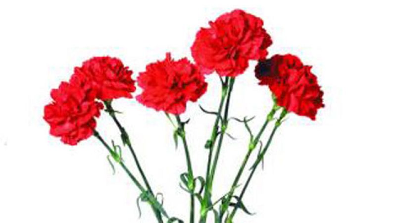 El diseño español triunfa en Washington