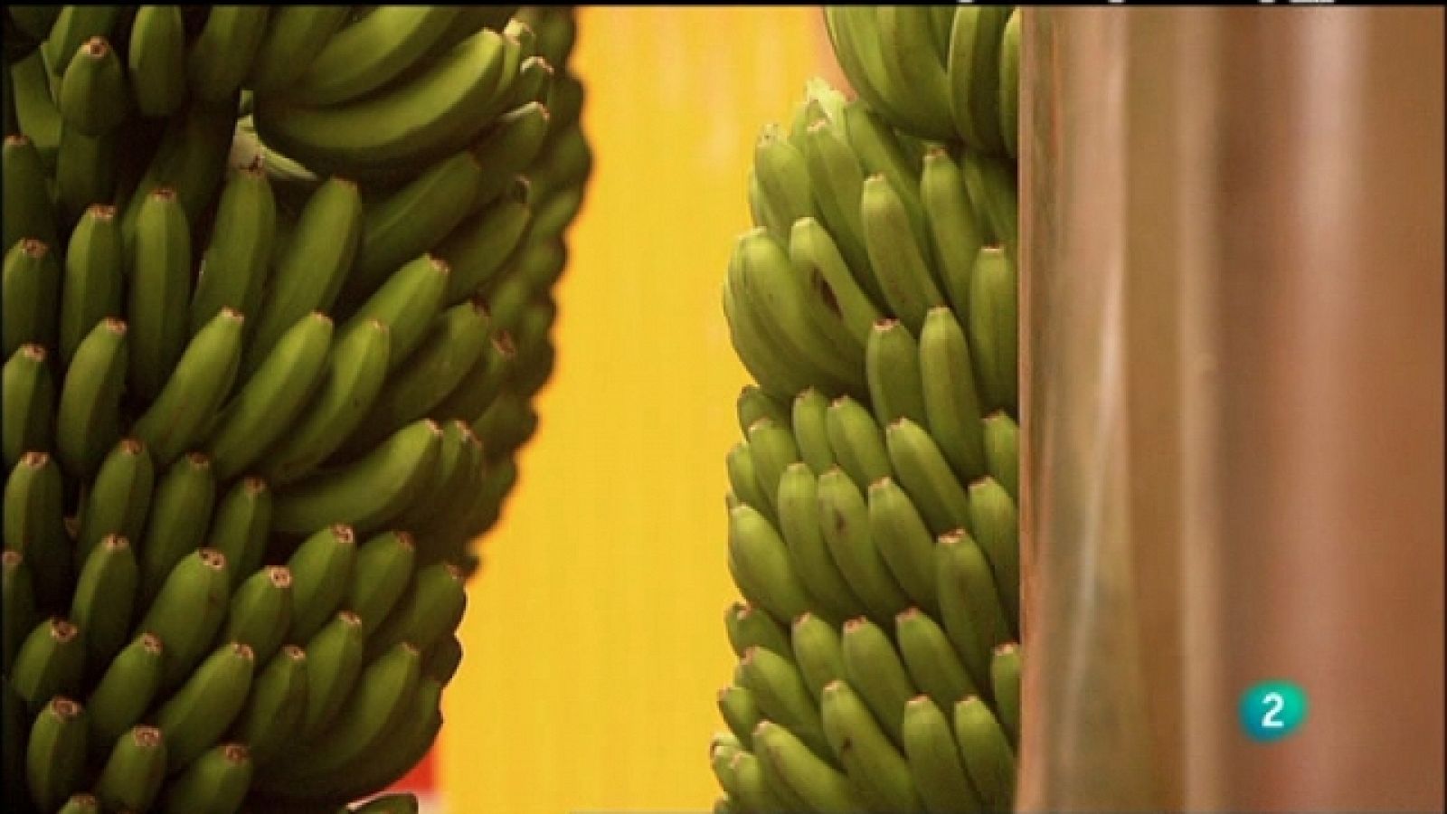 Biodiario - 08/04/11 - Ver ahora