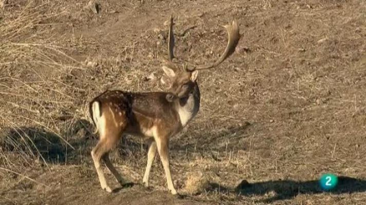 Biodiario - Biodiario - 10/04/11