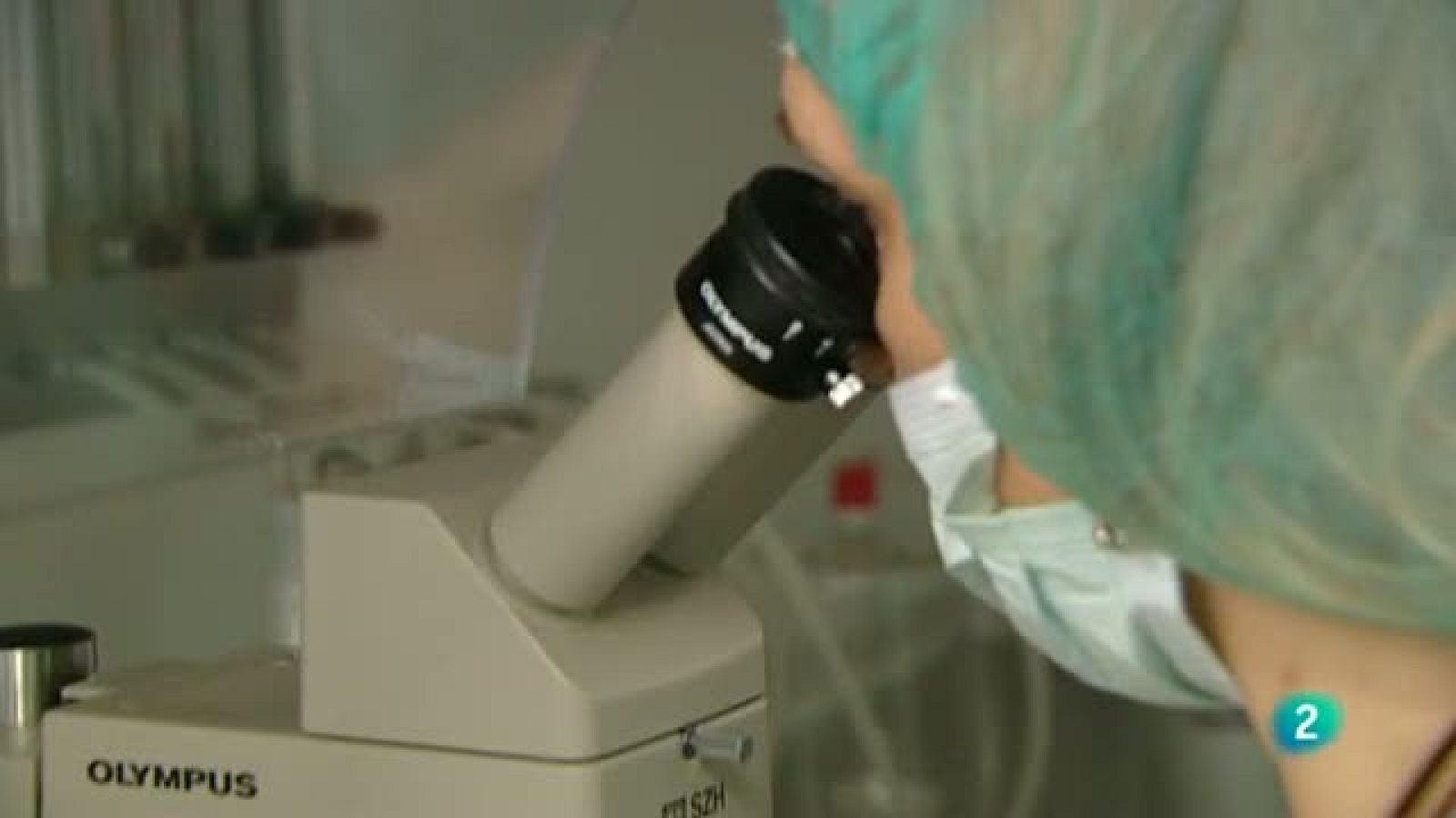 Para Todos La 2 - Diagnóstico genético preimplantacional