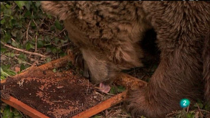 Biodiario - Biodiario - 11/04/11