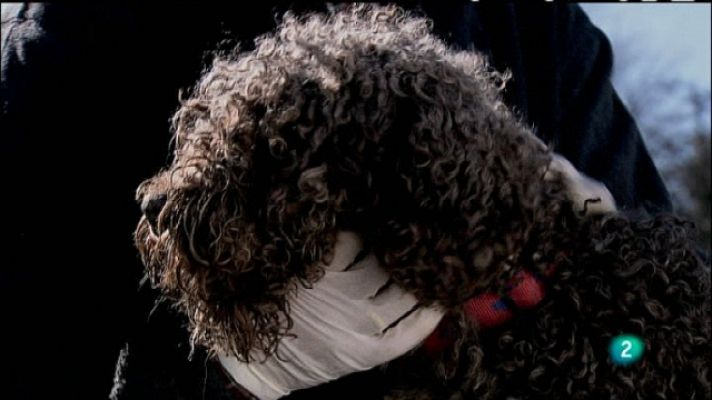 Biodiario - Biodiario - 12/04/11