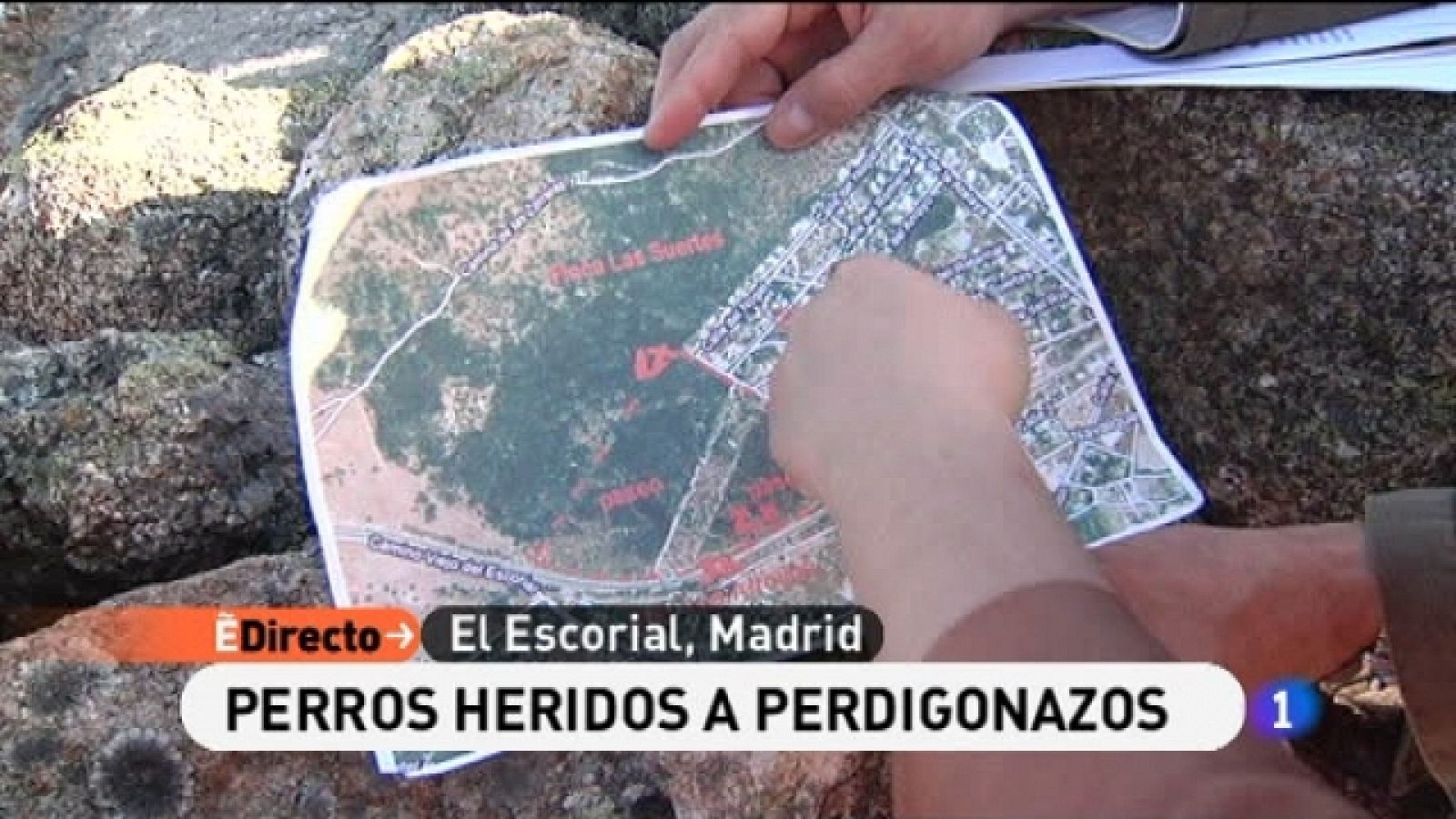 España Directo - 12/04/11 - Ver ahora