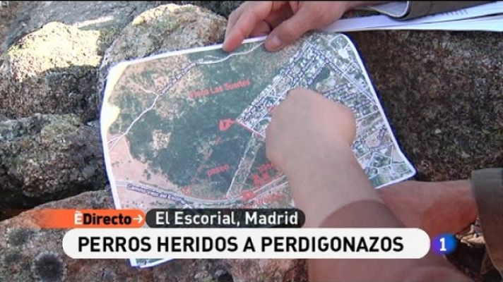 España Directo - España Directo - 12/04/11