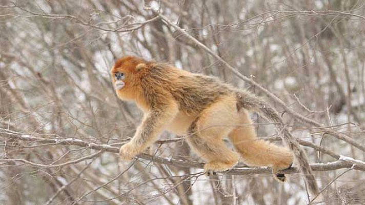 On Off - ¡Hora de comer!