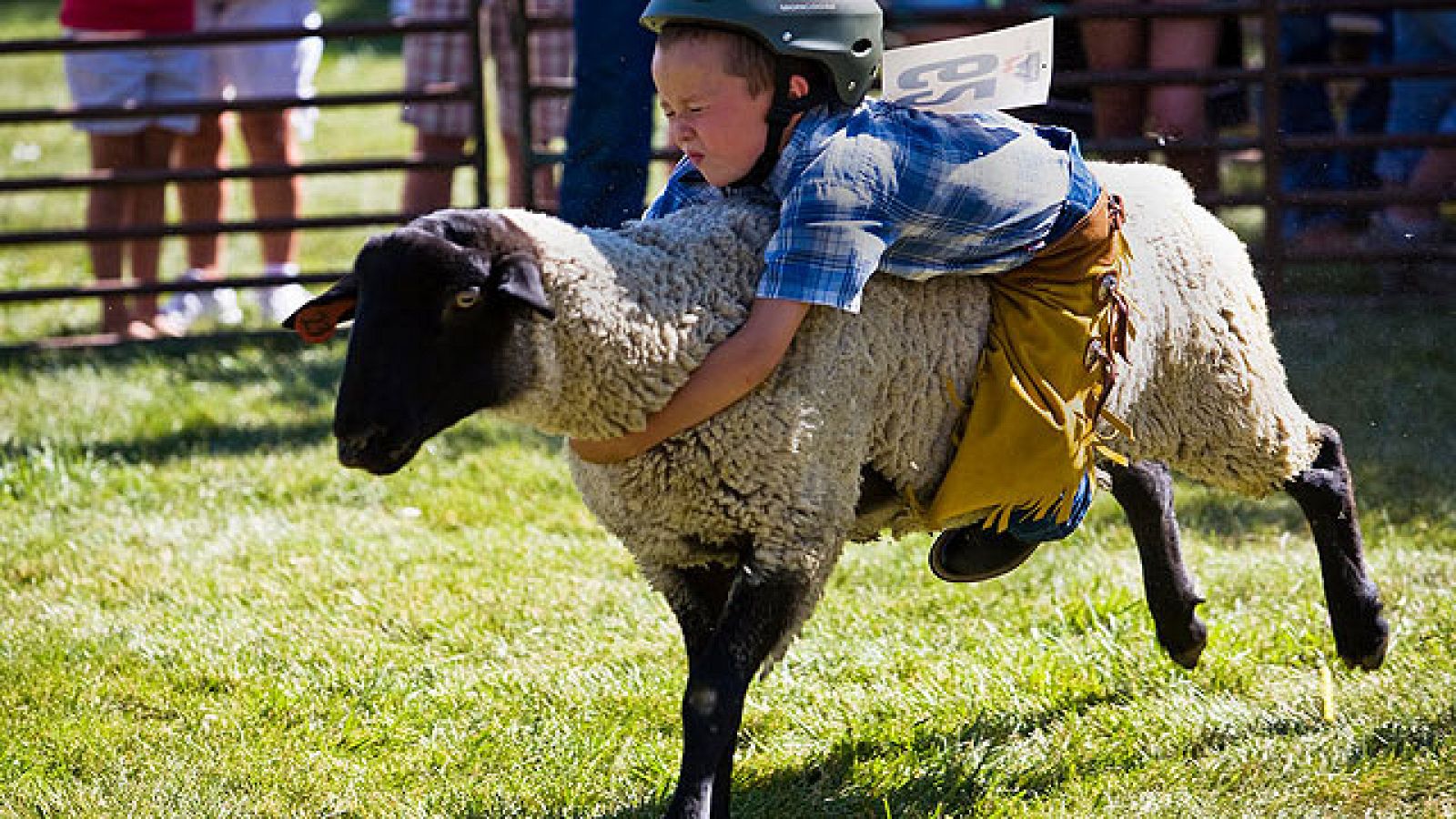 On Off: Los primeros pasos de un cowboy - On Off | Ver