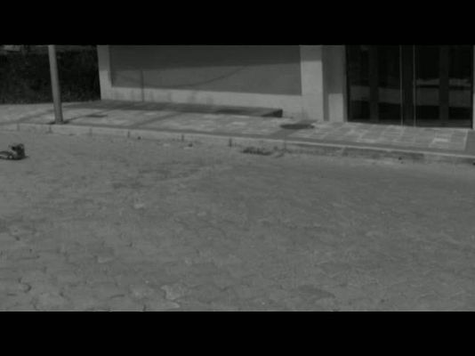 Cultura en Rtve.es - Trailer de 'Los materiales'