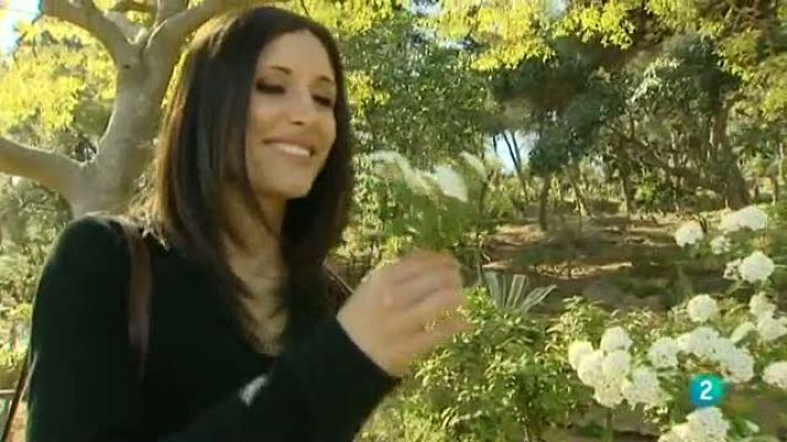 Para todos La 2 - El Aikido