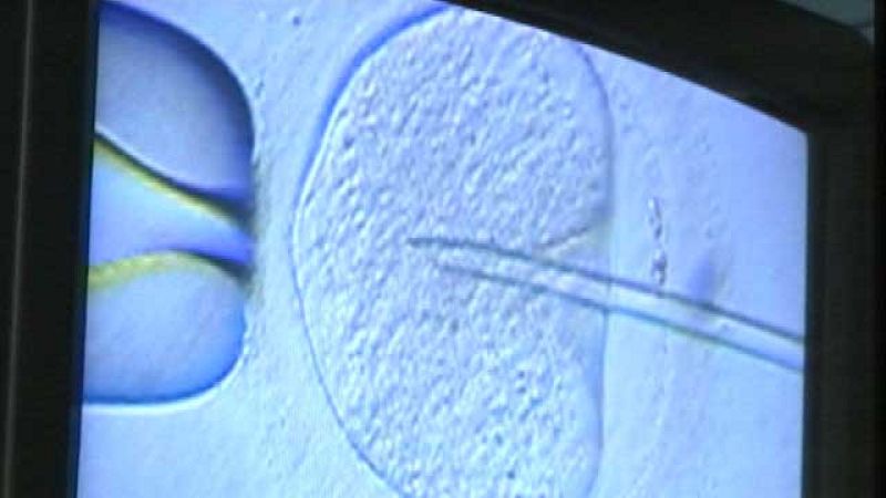 Un juez rechaza que un médico pueda negarse a informar a mujeres sobre el aborto