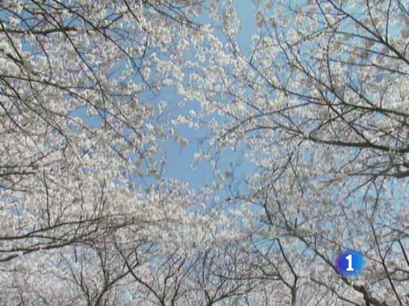 Continúa el tiempo anticiclónico