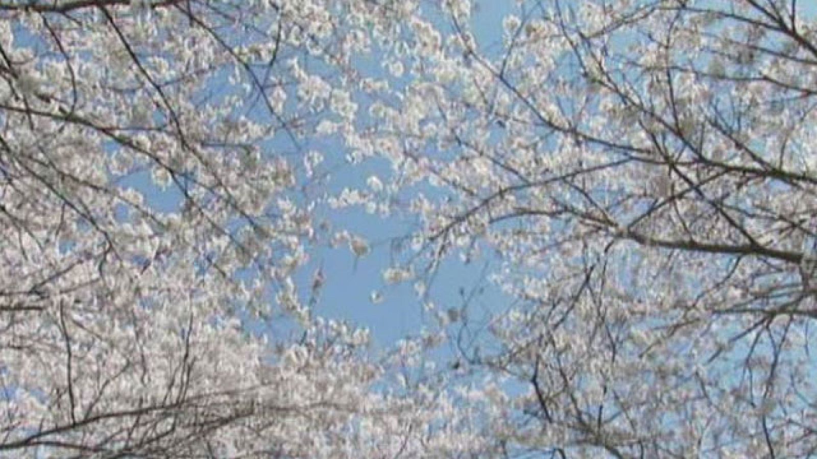 De momento, este fin de semana, no se esperan precipitaciones, pero el tiempo empezará acomplicarse a medida que se aproxime una perturbación desde el Atlántico