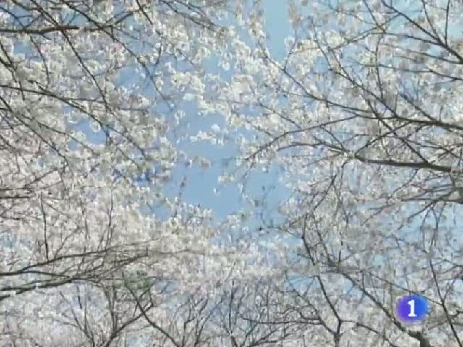 El tiempo en Castilla y León - 15/04/11 | Ver