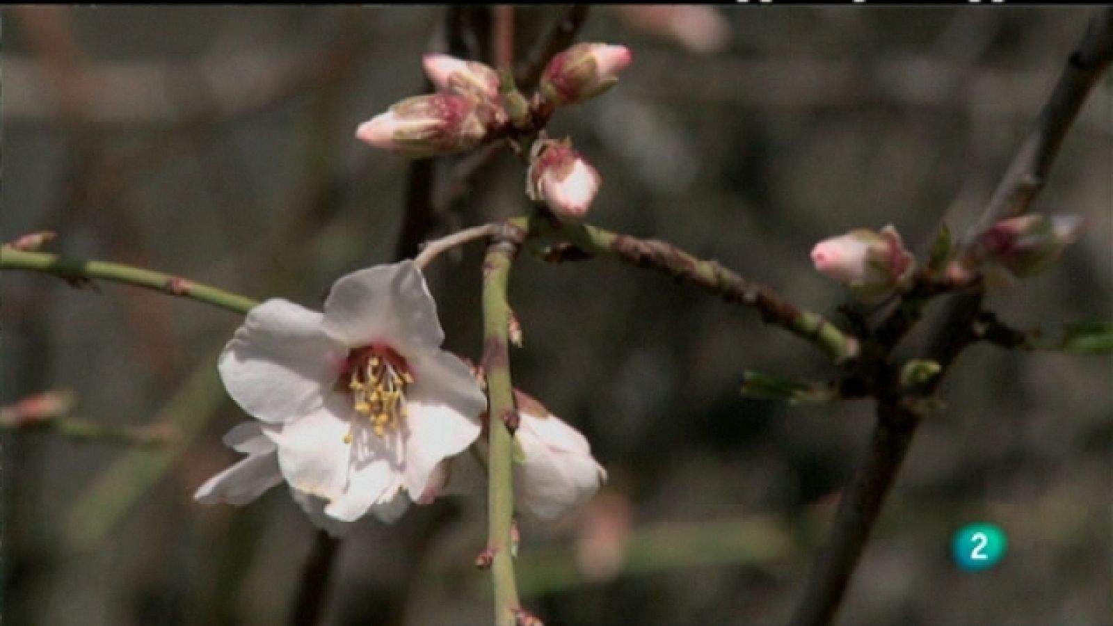 Biodiario - 15/04/11 - Ver ahora