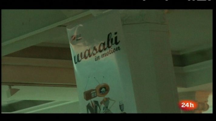 Zoom net - "Wasabi in Motion", Operation Flash