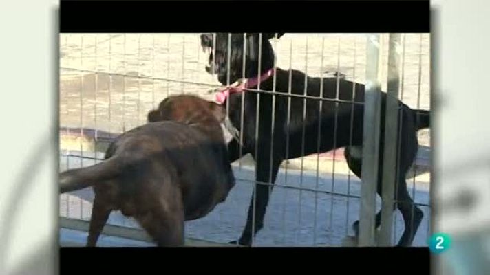 Para todos La 2 - ONG ATEA