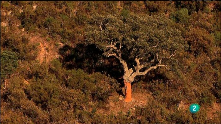 Biodiario - Biodiario - 18/04/11