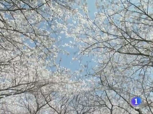 Noticias de Castilla y León - El tiempo en Castilla y León - 19/04/11