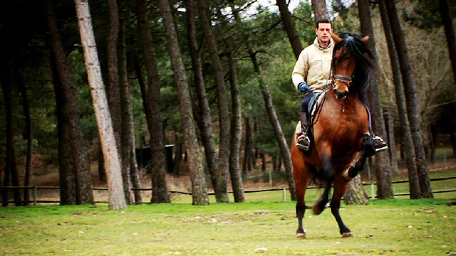 Destino: España - Castilla y León III - Edy