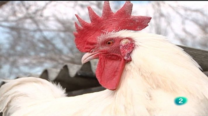 Agrosfera - Agrosfera - 23/04/11