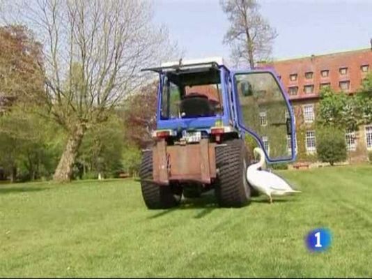 En la 2 - El amor del cisne Swanny