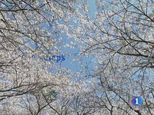 L'Informatiu - El temps - 26/04/11