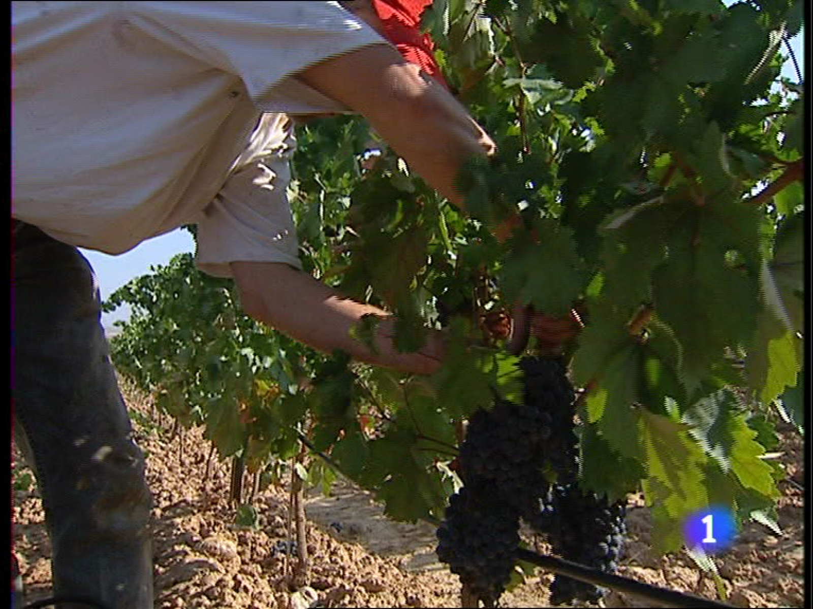 Informativo Telerioja - 26/04/11 | Ver