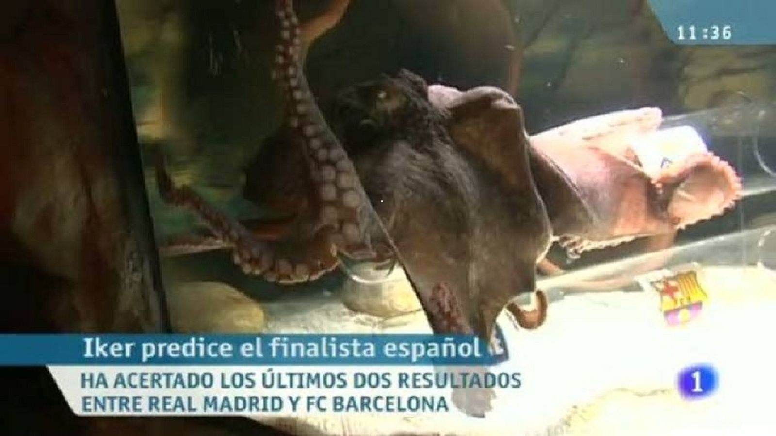 La mañana de La 1 - 26/04/11 - Ver ahora