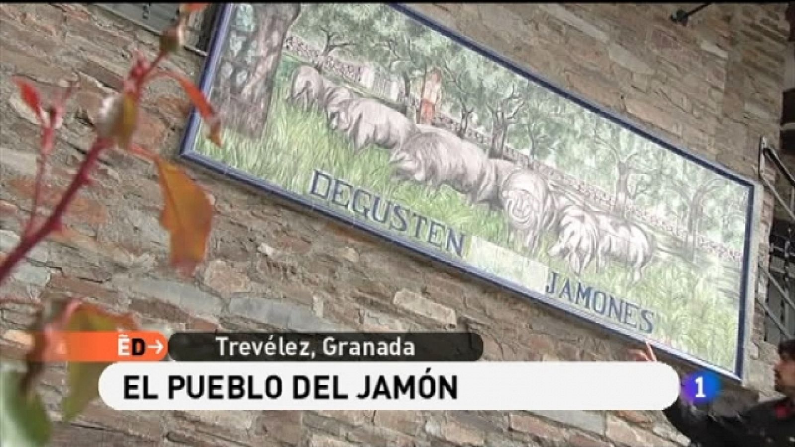 España Directo - 26/04/11 - Ver ahora