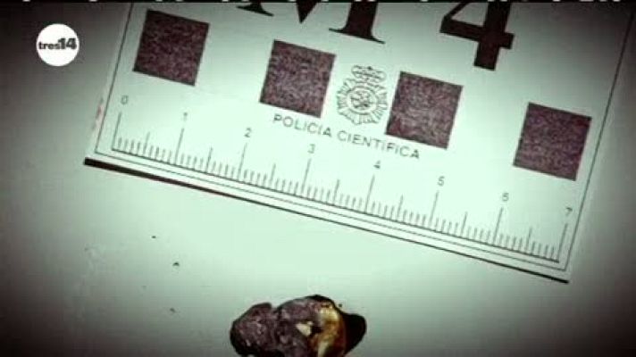 tres14 - tres14 - policía científica - avance