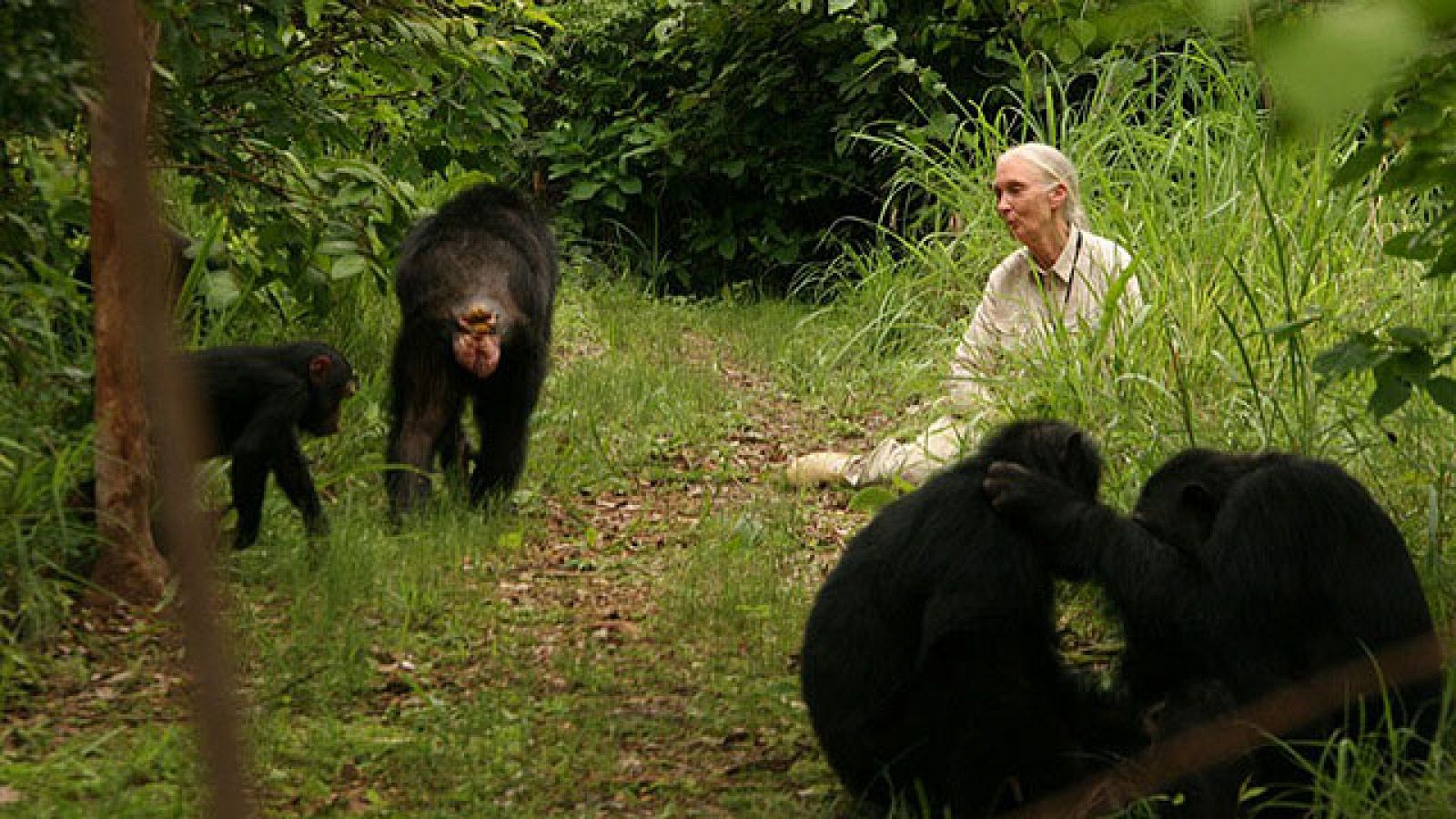Días de cine: Tráiler de 'El viaje de Jane'