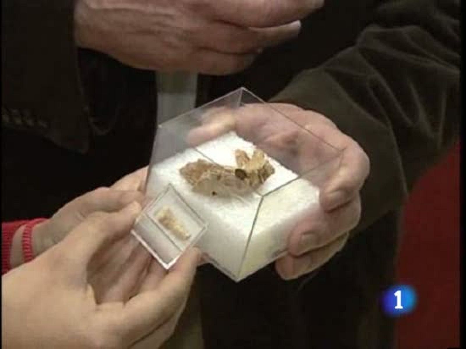 Una mandíbula de Atapuerca puede desestabilizar las bases de la evolución humana