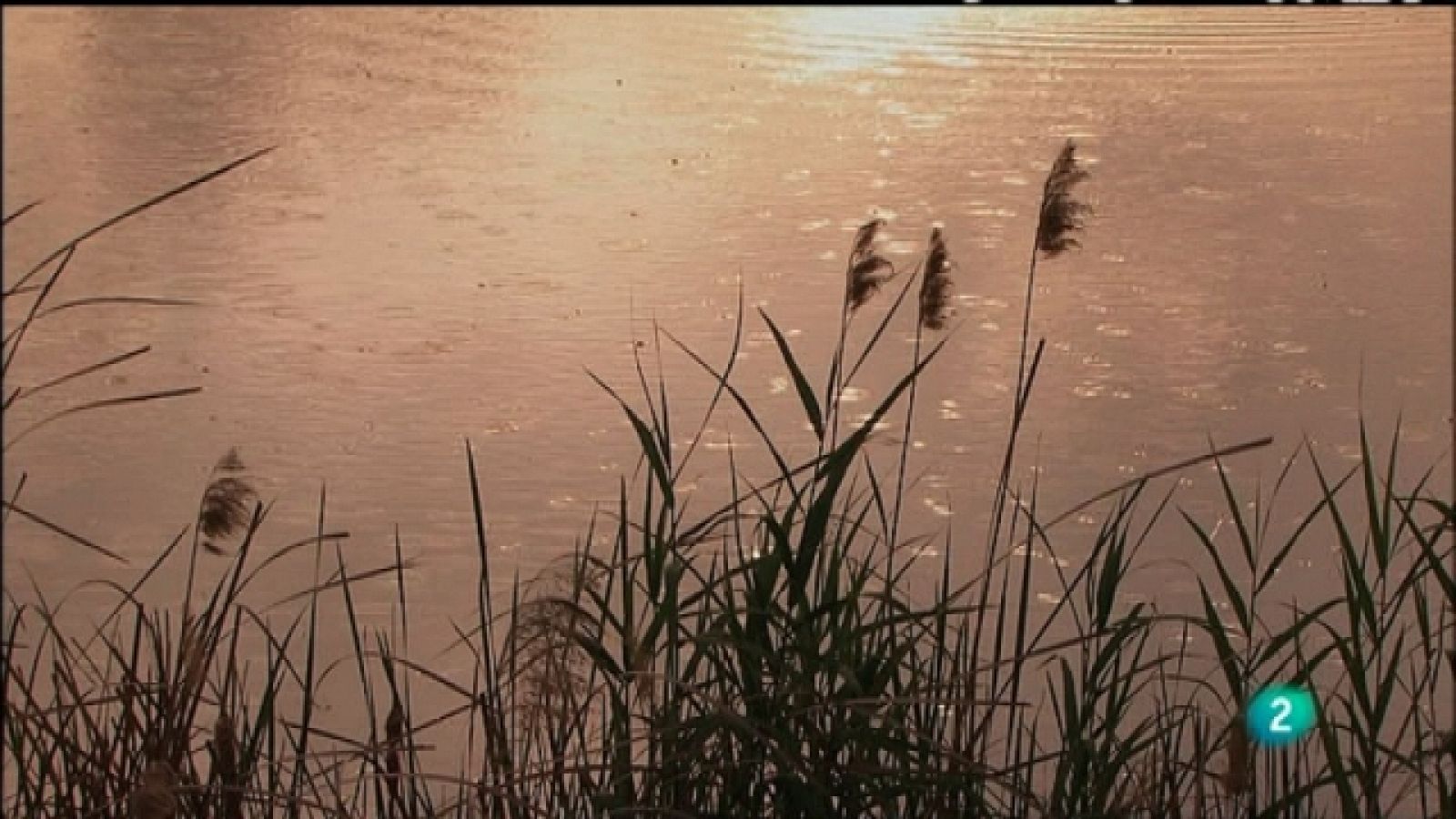 Biodiario - 28/04/11 - Ver ahora