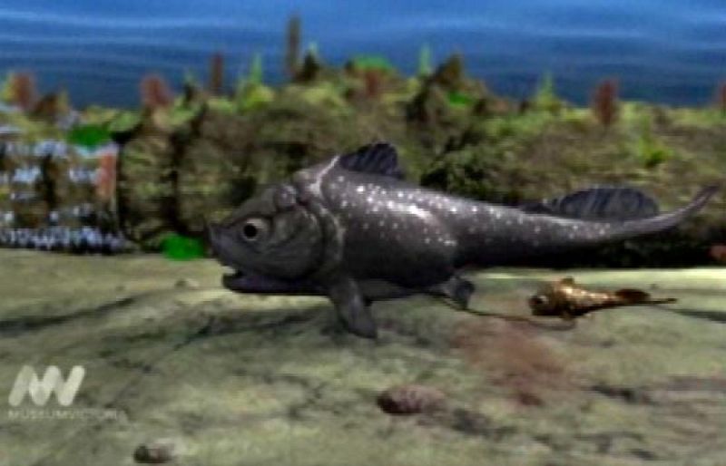 Recreación del parto de un 'dinosaurio de mar'